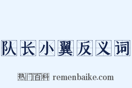 队长小翼反义词是什么意思的图片
